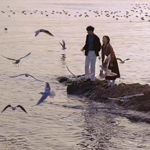 老鸭窝性爱视频
